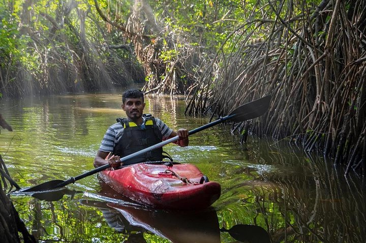 19fdd104-d7f6-4569-93a3-c817692b0c28_madu-river-sunrise-mangrove-kayaking-from-bentota