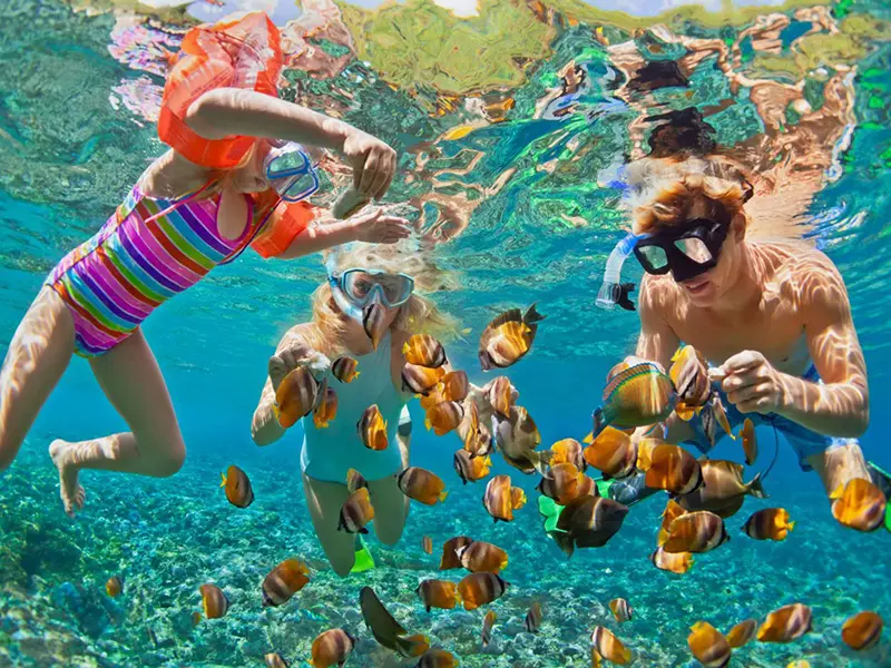Snorkeling-and-Diving-Hikkaduwa