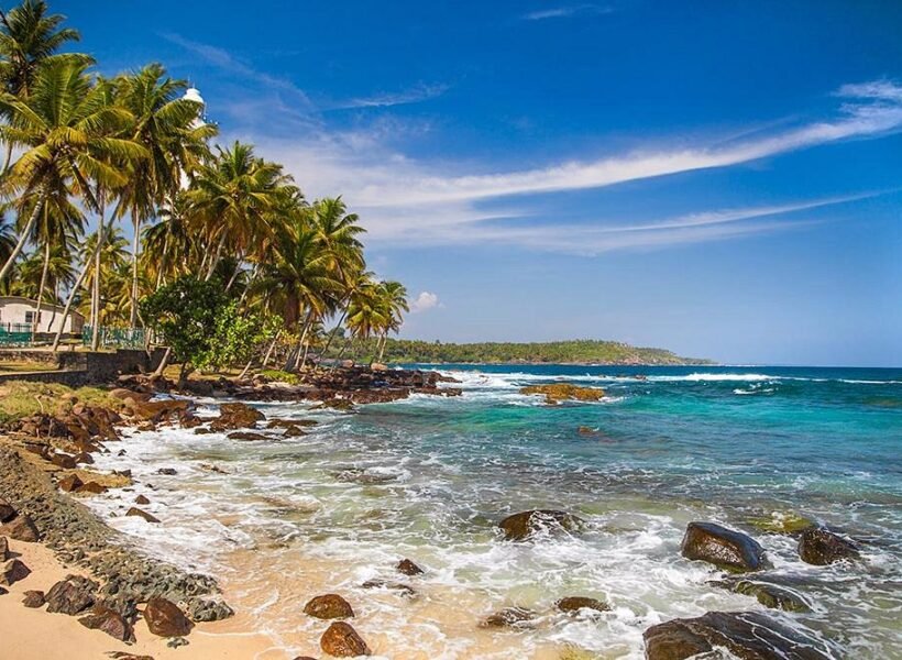 surfdiscovery-sri-lanka