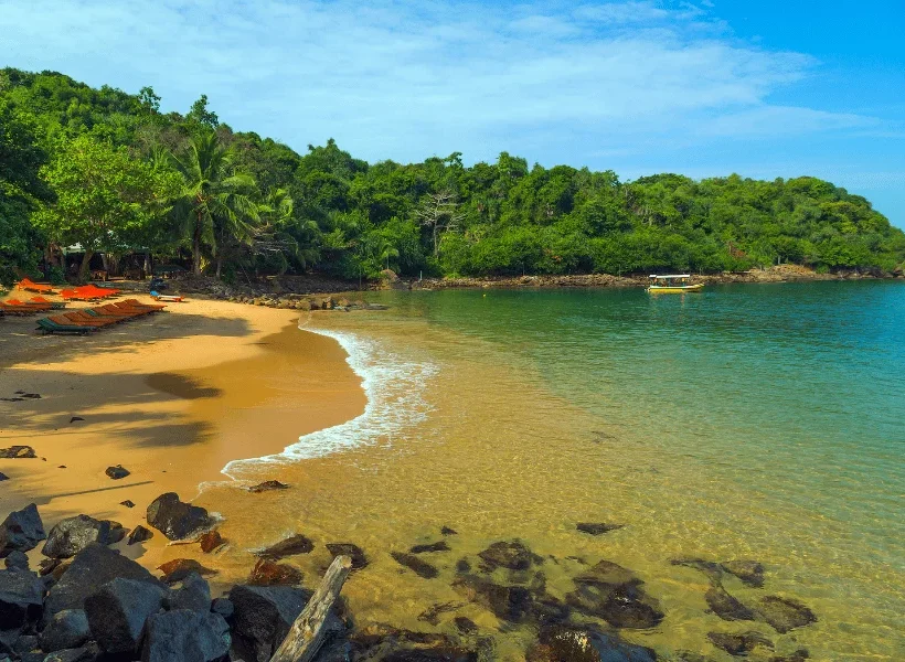 visit-jungle-beach
