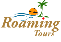 Logo Dark BG Transparent 1