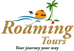 default-logo